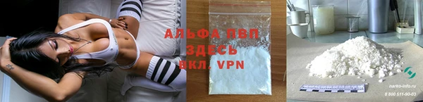 гидра Белокуриха