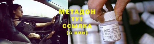 гидра Белокуриха