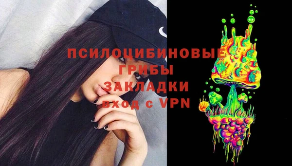 гидра Белокуриха