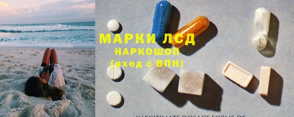 гидра Белокуриха