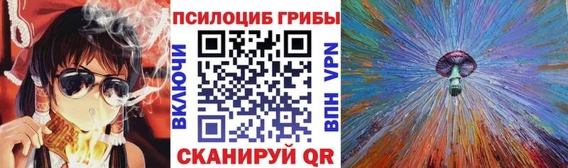 где продают   Верхняя Тура  Галлюциногенные грибы Psilocybe 